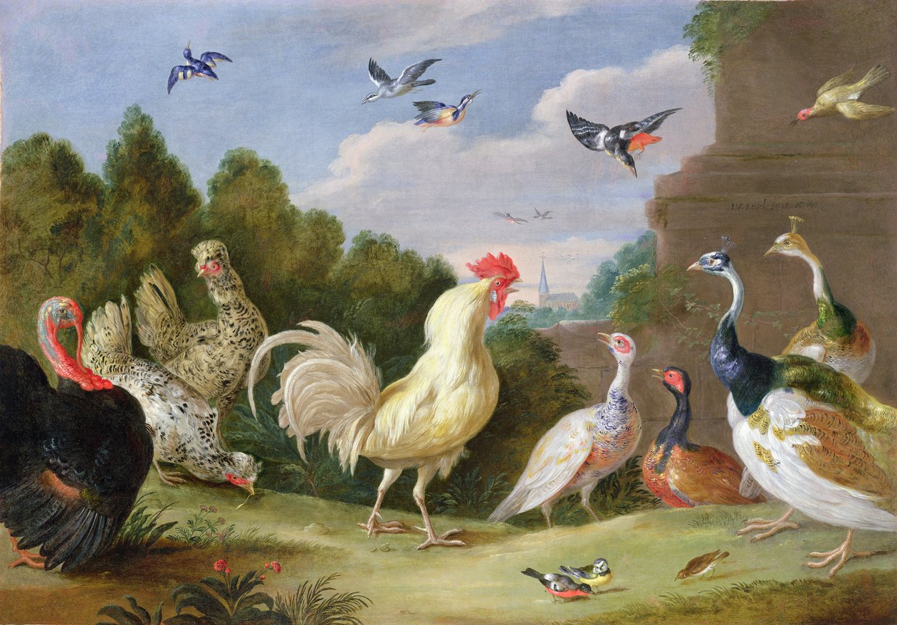 Zalesněná krajina s kohoutem, krůty, slepicemi a jinými ptáky, 17. století od Jan van Kessel the Elder
