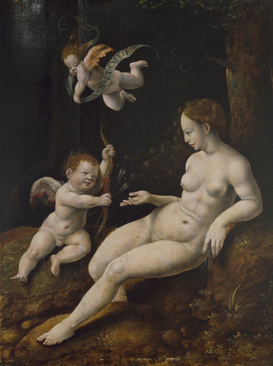 Venuše a dva Amorové, cca 1528 (olej na panelu) od Jan van Scorel