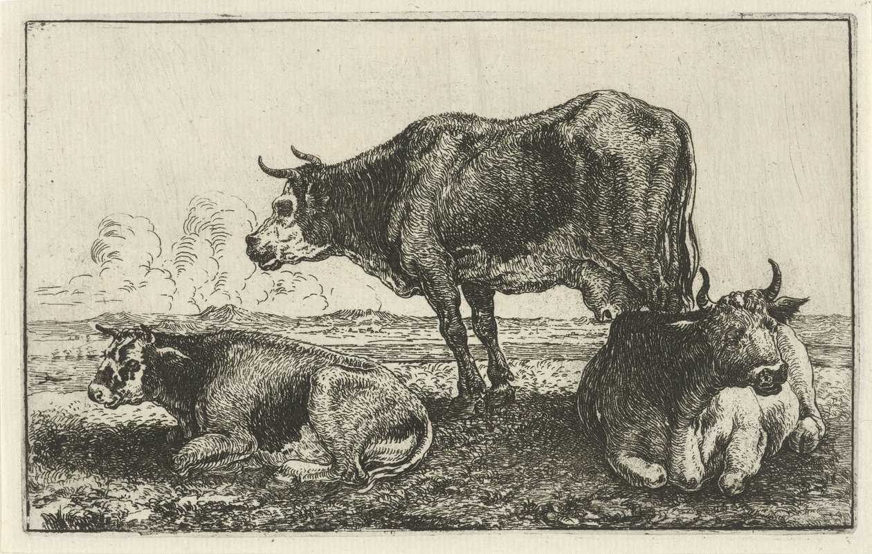 Tři krávy Zvířata (název seriálu) Zoographiam (název série) od Jan van den Hecke