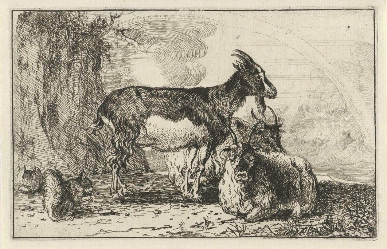 kozy Zvířata (název seriálu) Zoographiam (název série) od Jan van den Hecke