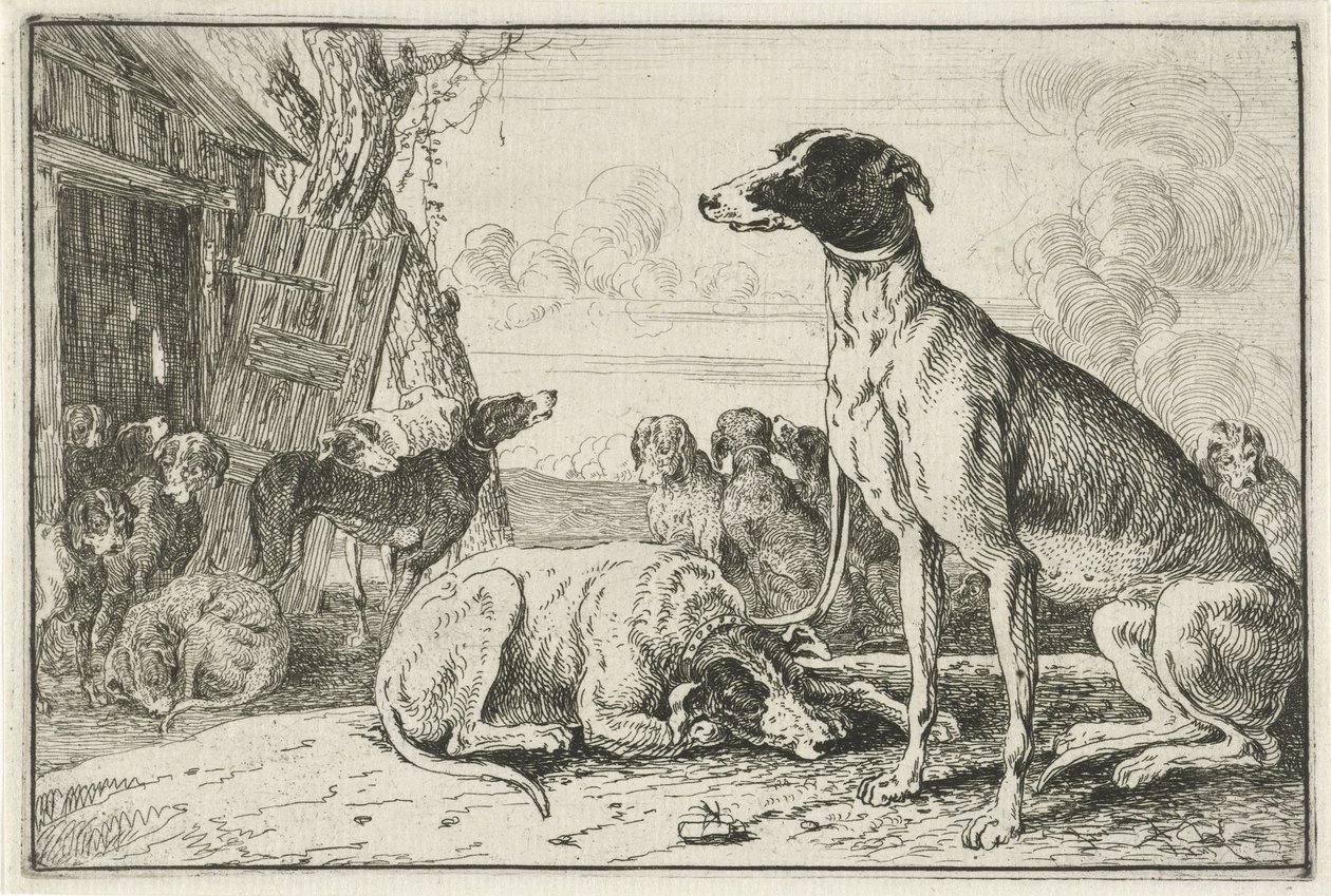 psí bouda Zvířata (název seriálu) Zoographiam (název série) od Jan van den Hecke