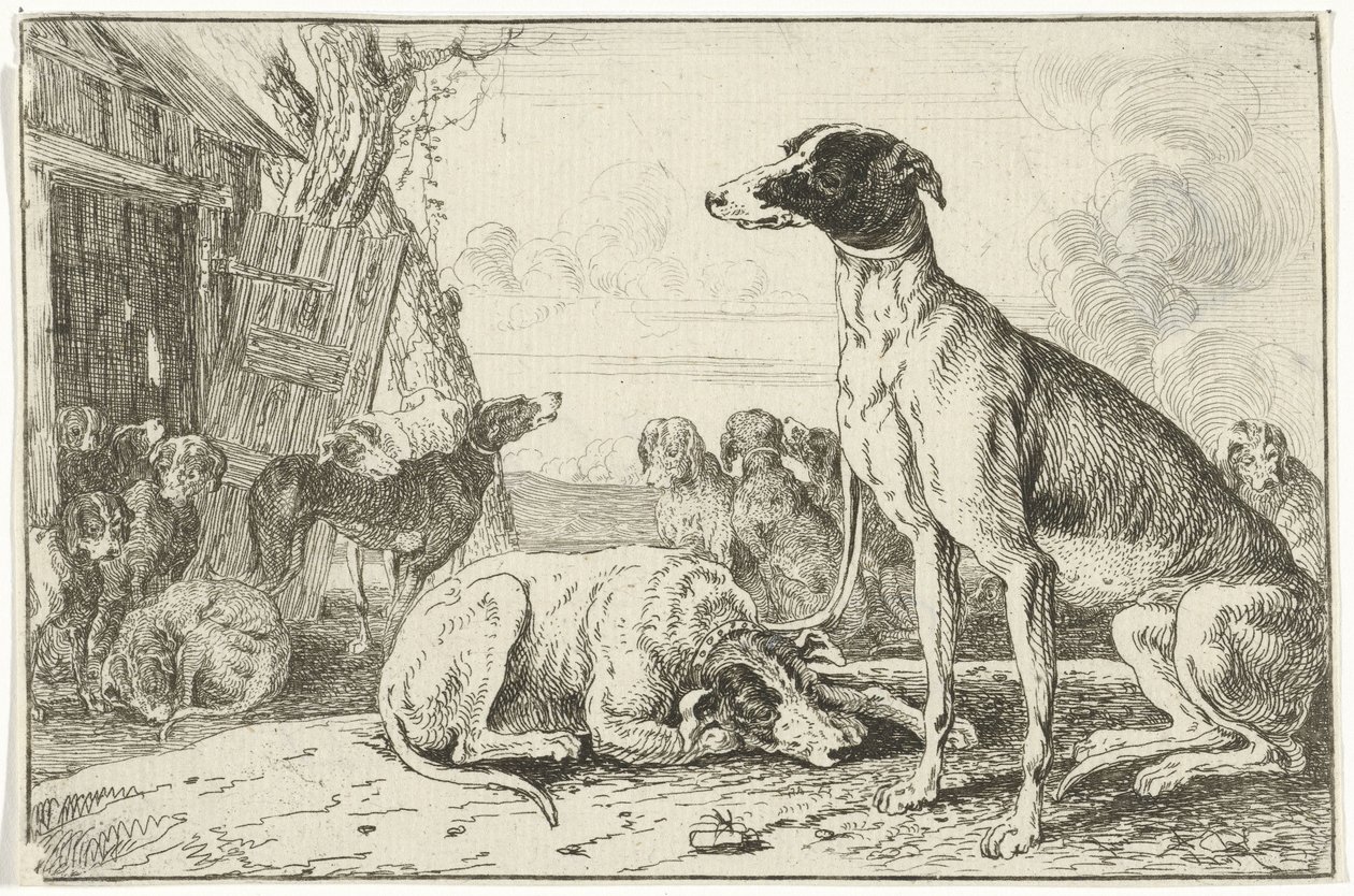 psí bouda Zvířata (název seriálu) Zoographiam (název série) od Jan van den Hecke