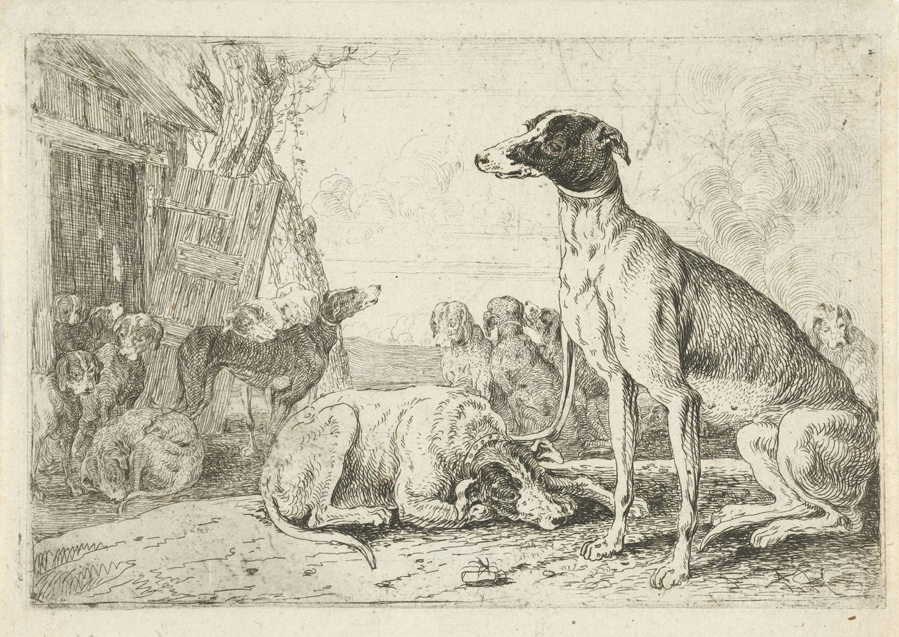 psí bouda Zvířata (název seriálu) Zoographiam (název série) od Jan van den Hecke