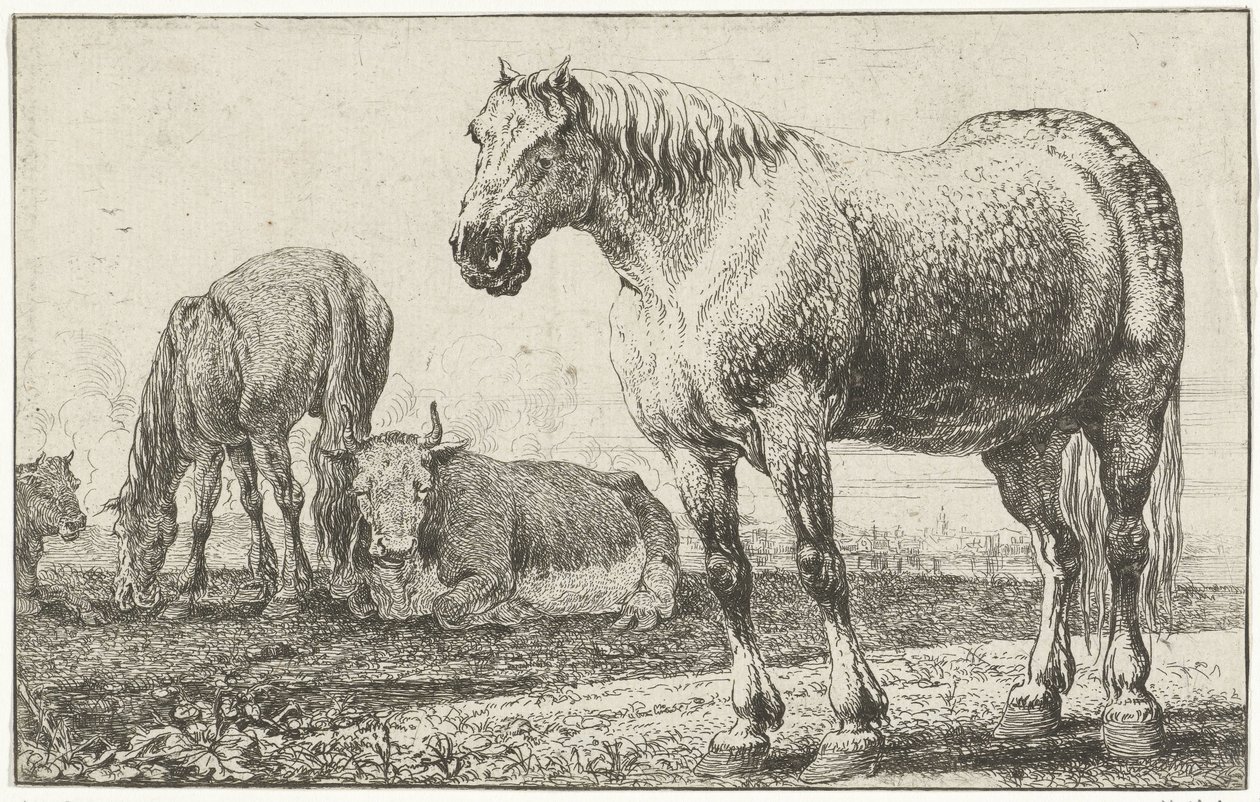 Koně a krávy Zvířata (název seriálu) Zoographiam (název série) od Jan van den Hecke