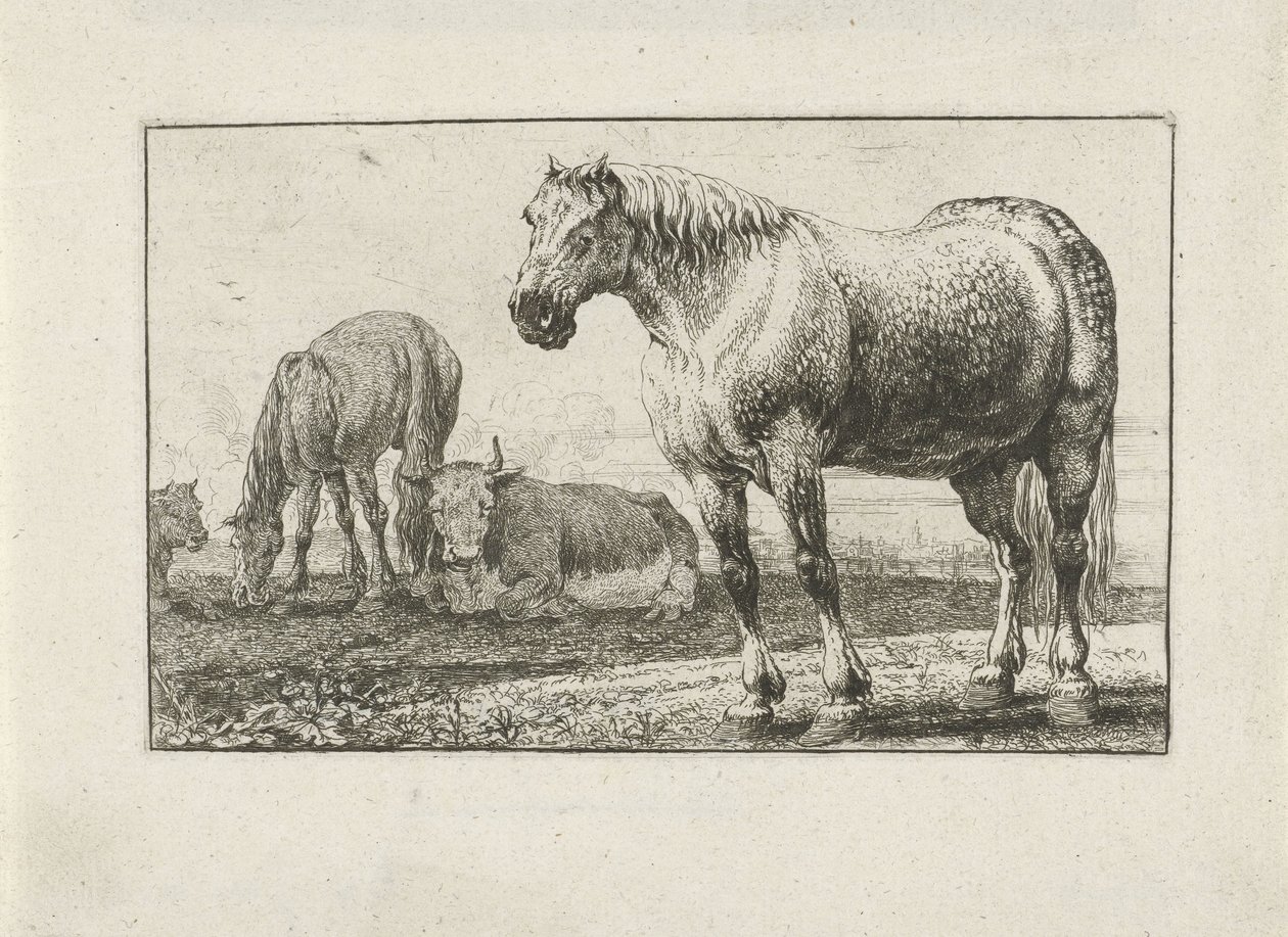 Koně a krávy Zvířata (název seriálu) Zoographiam (název série) od Jan van den Hecke