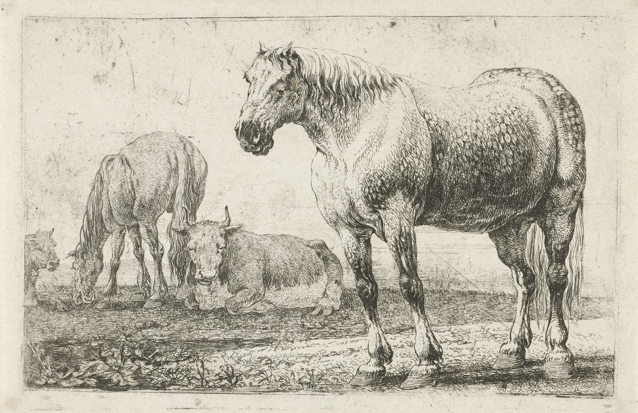 Koně a krávy Zvířata (název seriálu) Zoographiam (název série) od Jan van den Hecke