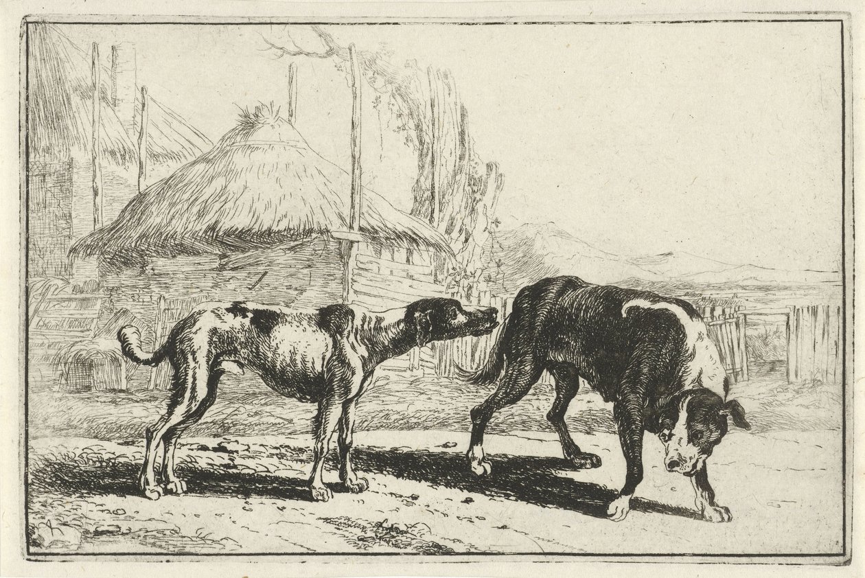 Muži a ženy Zvířata (název seriálu) Zoographiam (název série) od Jan van den Hecke
