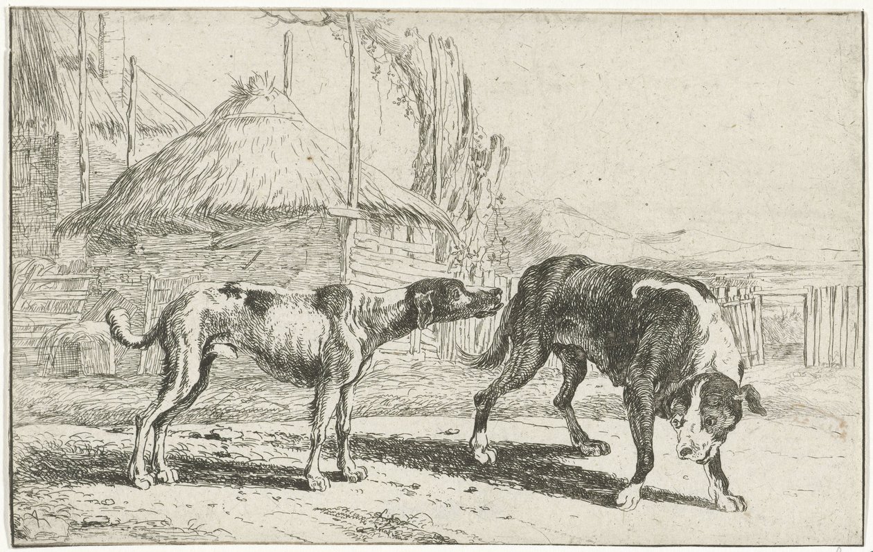 Muži a ženy Zvířata (název seriálu) Zoographiam (název série) od Jan van den Hecke