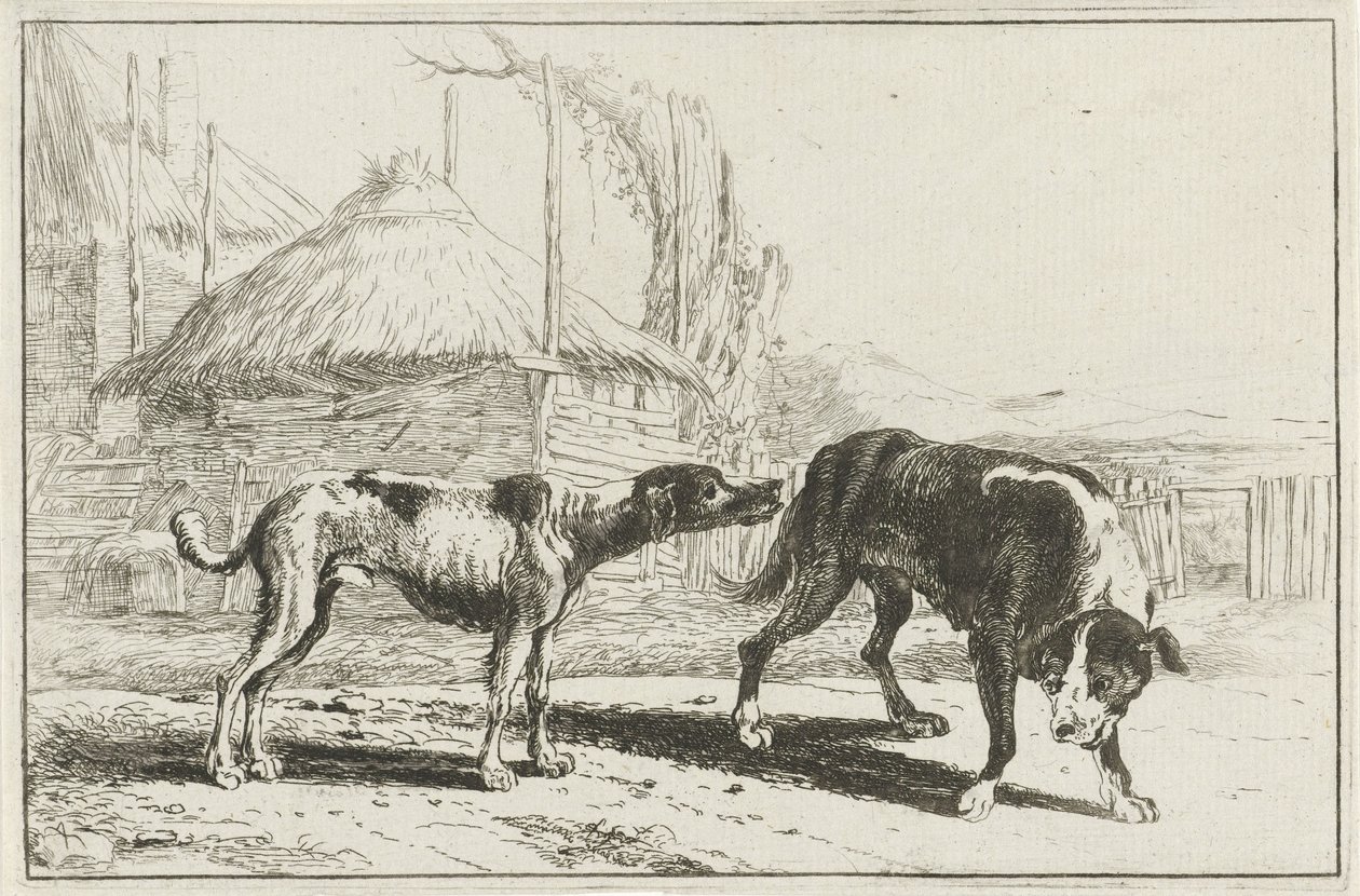 Muži a ženy Zvířata (název seriálu) Zoographiam (název série) od Jan van den Hecke
