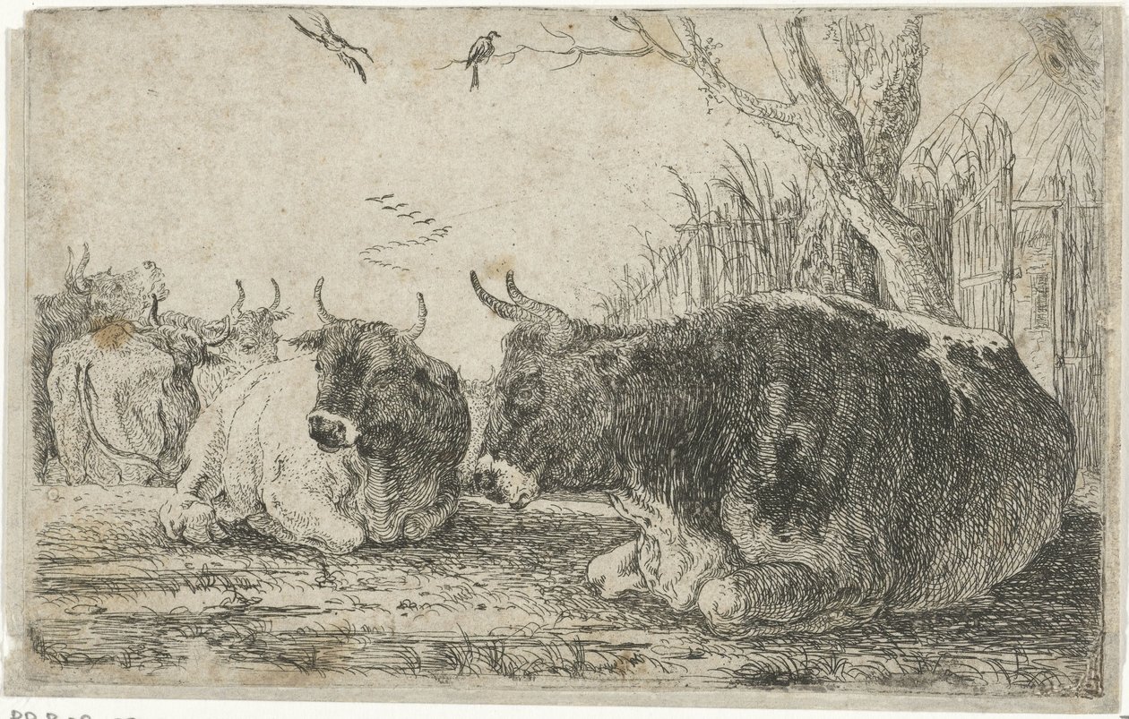 odpočívající krávy Zvířata (název seriálu) Zoographiam (název série) od Jan van den Hecke