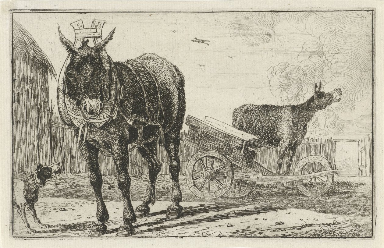 Dva osli Zvířata (název seriálu) Zoographiam (název série) od Jan van den Hecke