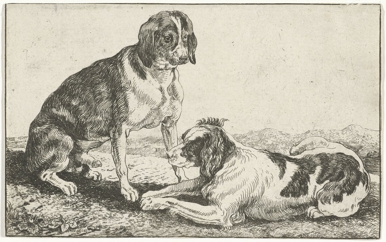 Dva odpočívající psi Zvířata (název seriálu) Zoographiam (název série) od Jan van den Hecke