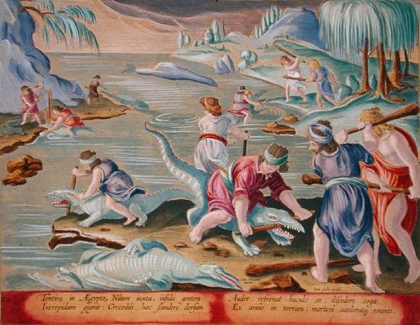Killing Crocodiles Using Sticks and Clubs, deska 88 z 
