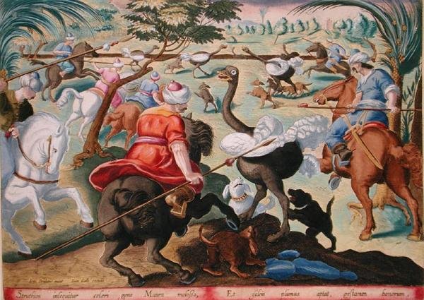 Moors on Horseback Lov pštrosů, deska 62 z 