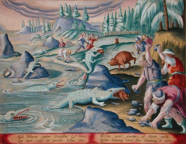 Chytání krokodýlů na březích Nilu pomocí upoutaných prasat jako návnady, deska 87 z „Venationes Ferarum, Avium, Piscium“ (Lovu: Divoká zvířata, ptáci, ryby) vyrytá Janem Collaertem (1566-1628) vydané Phillipusem Gallaeem z Amsterdam (ruka plk od Jan van der (1523 1605) (after) Straet