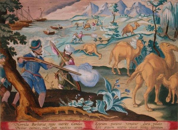 Námořníci v příšerné barbarské zemi zabíjejí velbloudy mušketami, aby si ulevili od hladu, deska 28 „Venationes Ferarum, Avium, Piscium“ (O lovu: Divoká zvěř, ptáci, ryby), vyrytá Janem Collaertem (1566-1628), vydal Phillipus Gallaeus z Amsterdam ( od Jan van der (1523 1605) (after) Straet