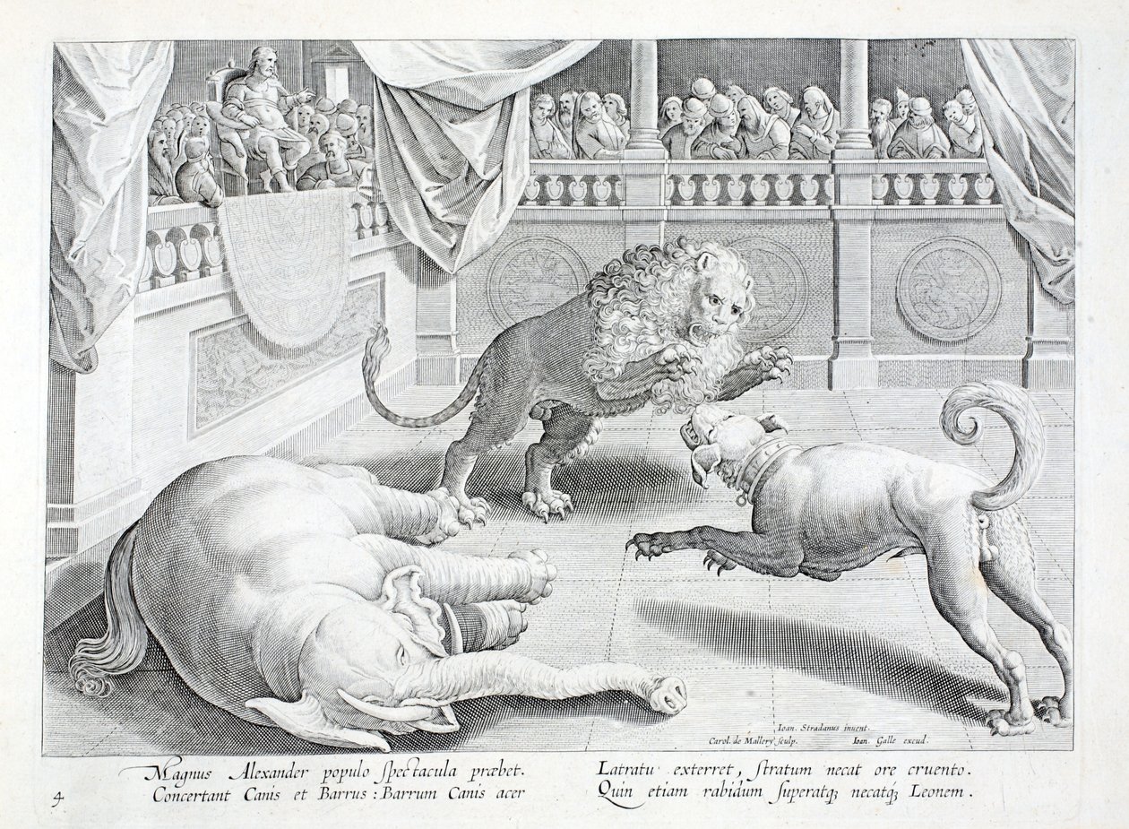 Alexandr Veliký nasadil podívanou, souboj lva, psa a slona, ilustrace z 