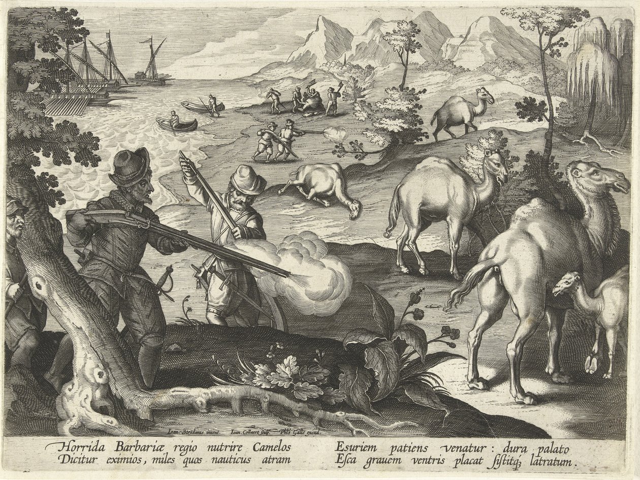 Námořníci v příšerné barbarské zemi zabíjejí velbloudy mušketami, aby jim ulevili od hladu, ilustrace z 