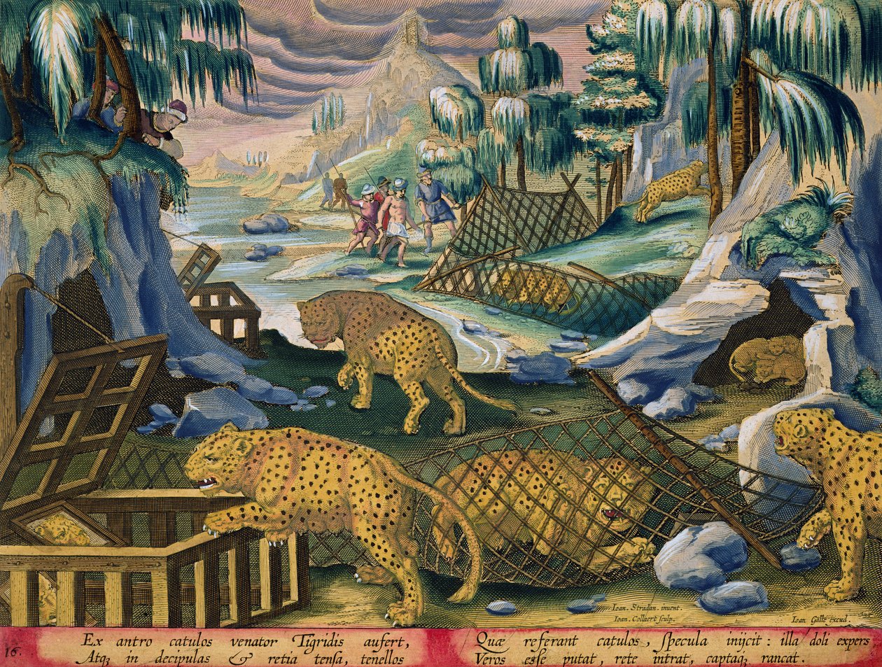 Chytání leopardů pomocí sítí a klecí s návnadou se zrcadly, deska 15 z „Venationes Ferarum, Avium, Piscium“ (Lovu: Divoká zvířata, ptáci, ryby) vyryl Jan Collaert (1566-1628) str od Jan van der Straet