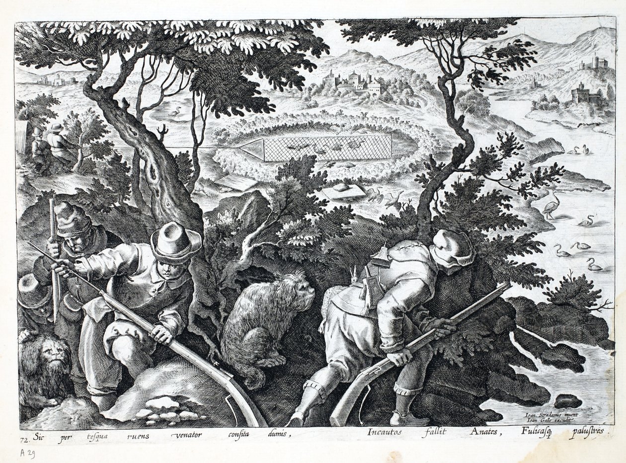 Lov na kachny, ilustrace z 