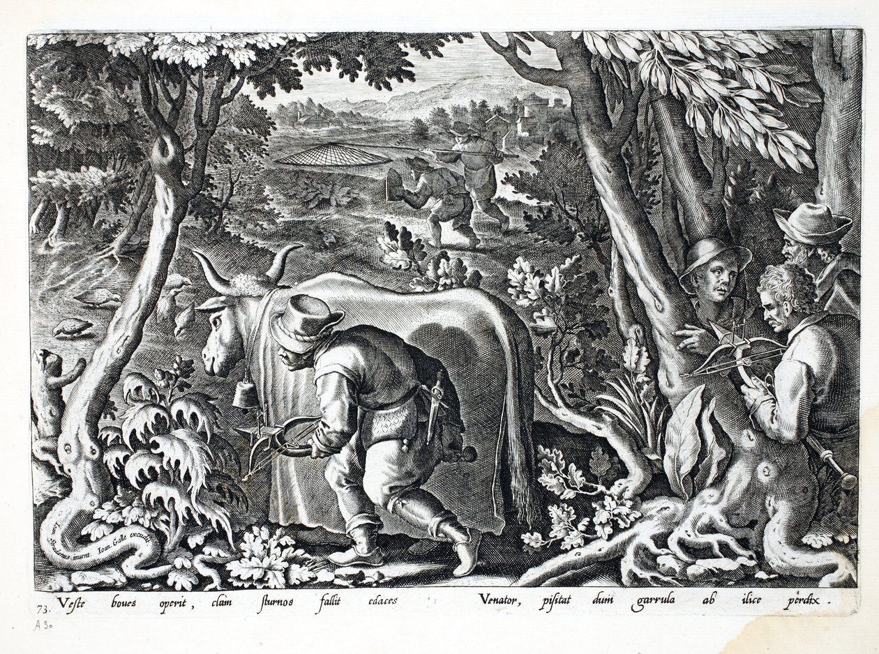 Lov na špačky a koroptve, ilustrace z 