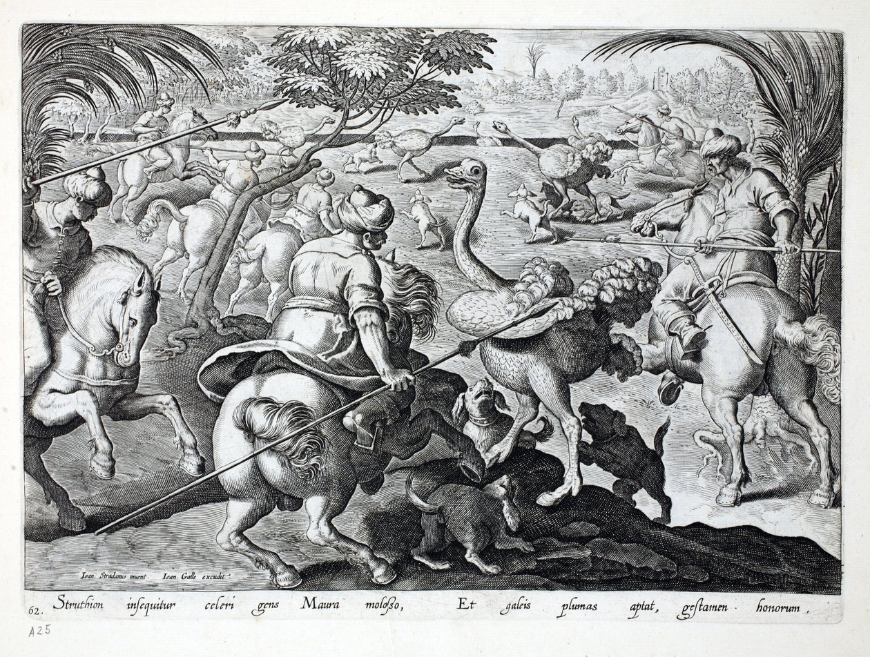 Moors on Horseback Hunting Pštrosi, TD 62, ilustrace z 