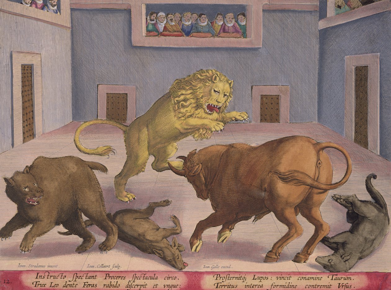 Noblemen Watch Combat of Wild Beasts in a Indoor Circus, deska 12 z 