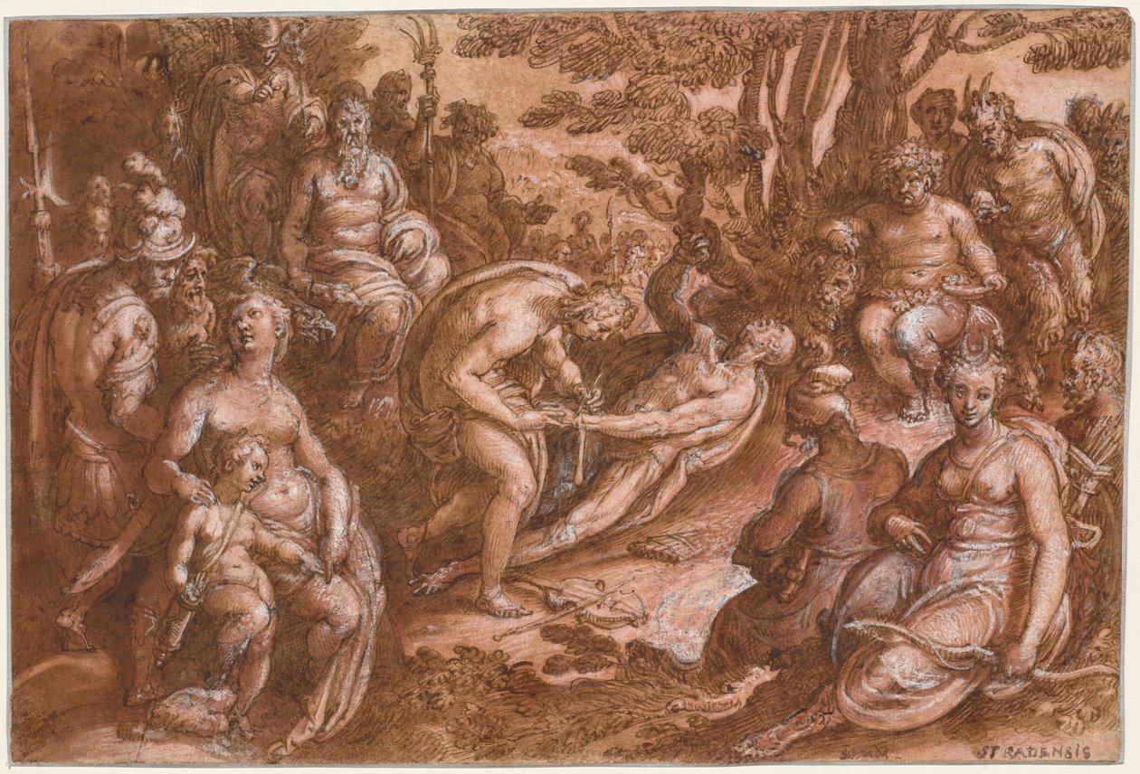 Stahování Marsyas od Jan van der Straet, called Johannes Stradanus