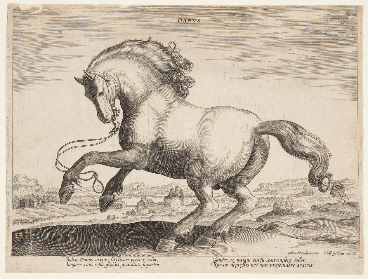 Dánský kůň ze čtvrtého souboru "Equile Joannis Austriaci" od Jan van der Straet, called Stradanus