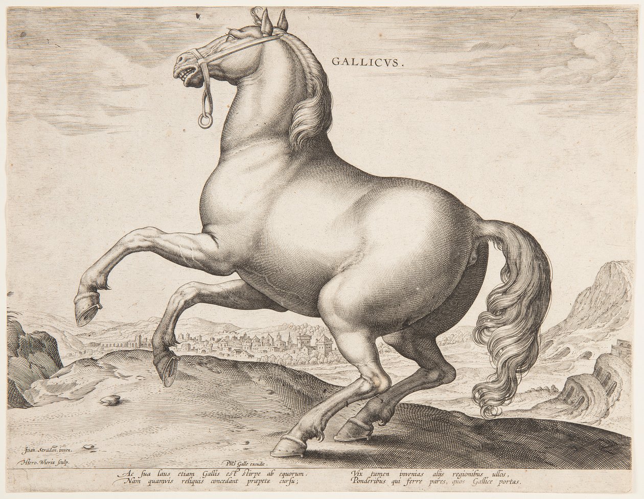 Francouzský kůň z prvního souboru "Equile Joannis Austriaci" od Jan van der Straet, called Stradanus