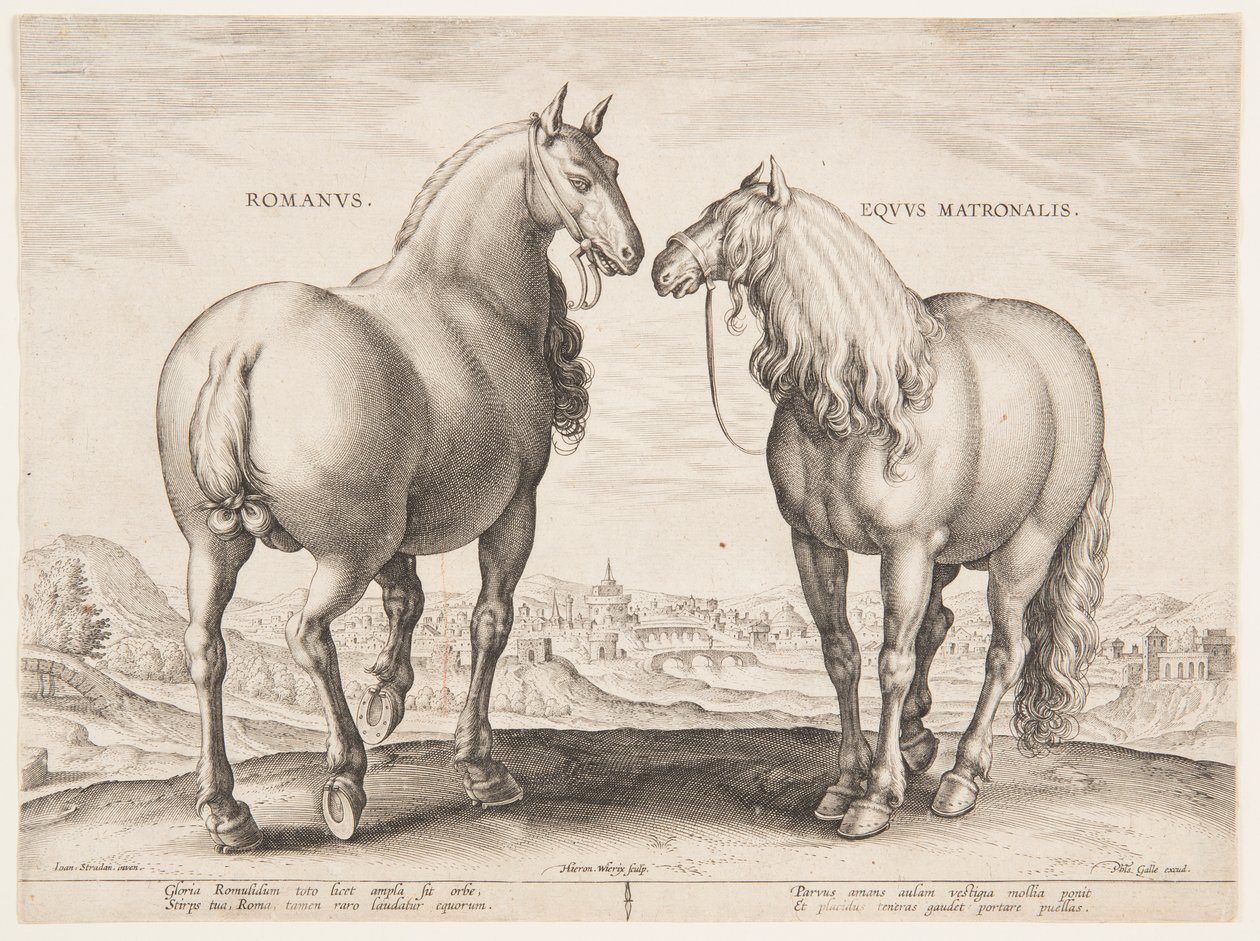 Římský kůň z prvního souboru "Equile Joannis Austriaci" od Jan van der Straet, called Stradanus