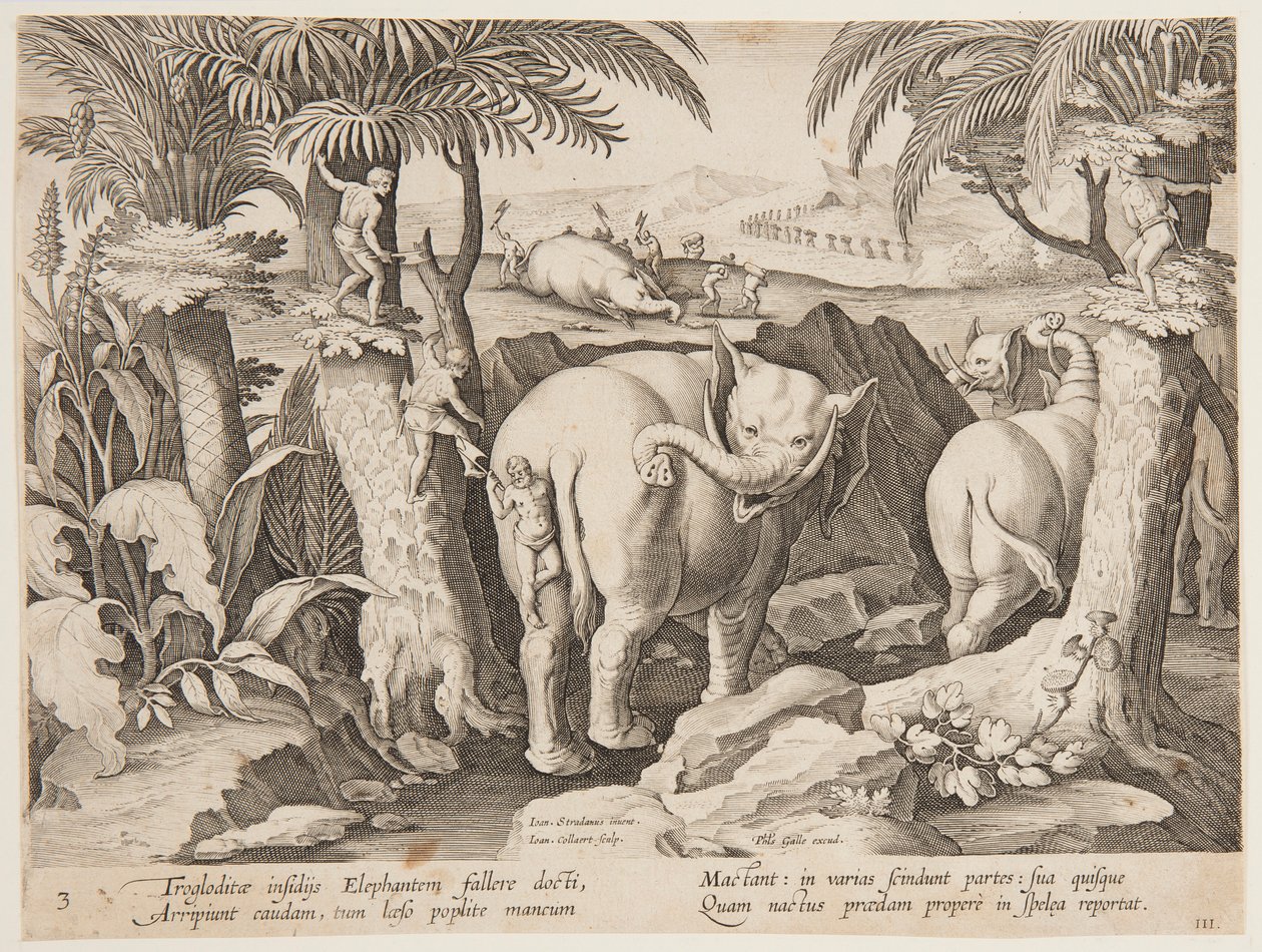 Cavemen Chasing Elephants, deska 3 ze série Lov divokých zvířat, ptáků a ryb od Jan van der Straet, called Stradanus