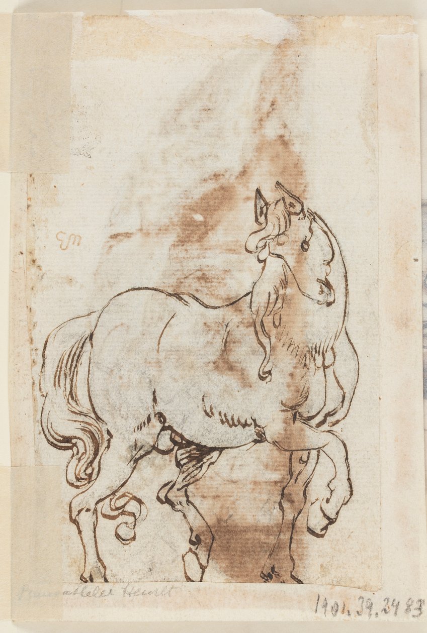 Stránka kreslicí knihy; Studie k obrazu sv. Magdalény; Hřebec od Jan van der Straet, called Stradanus