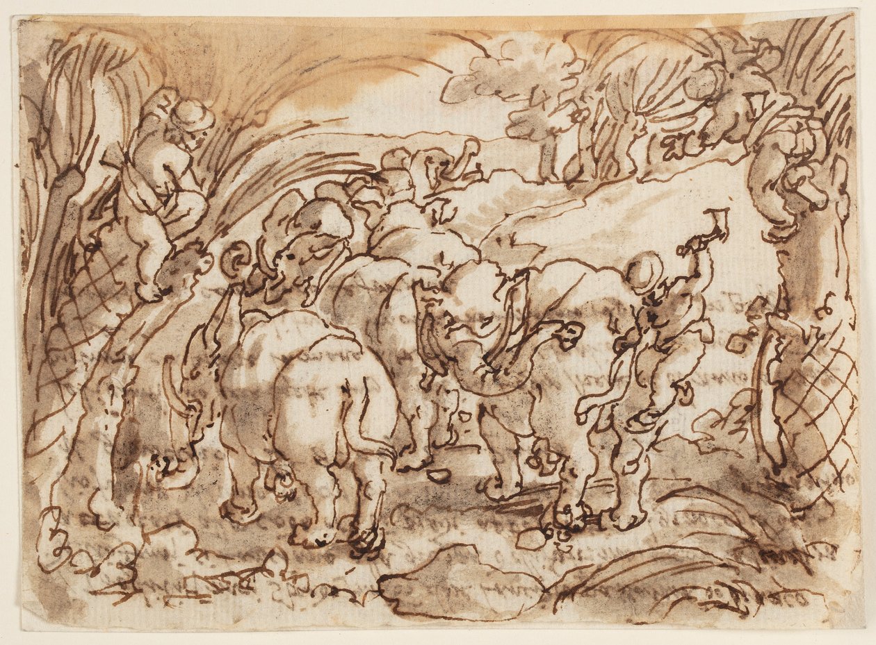 Recto: Sloni lovili Troglodyty [jeskynní lidé]; Verso: nápis týkající se přírodní historie Plinia Staršího, kniha 8, kap.8 od Jan van der Straet, called Stradanus