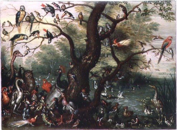Koncert ptáků (olej na mědi) od Jan van the Elder Kessel