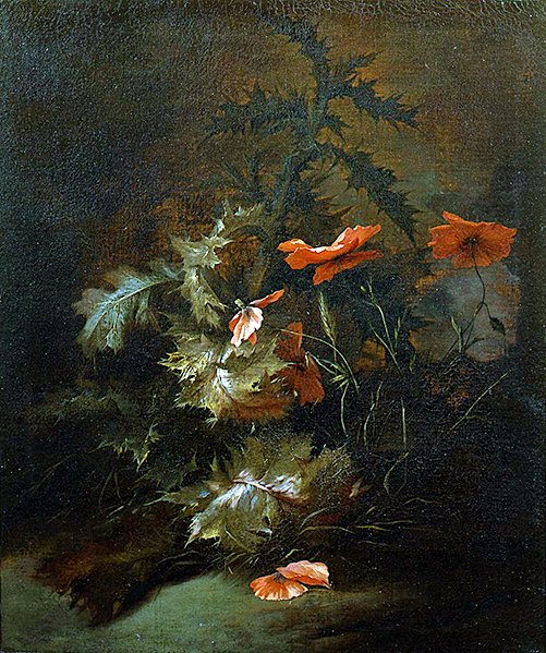 Bodláky a máky (olej na plátně) od Jan van the Elder Kessel