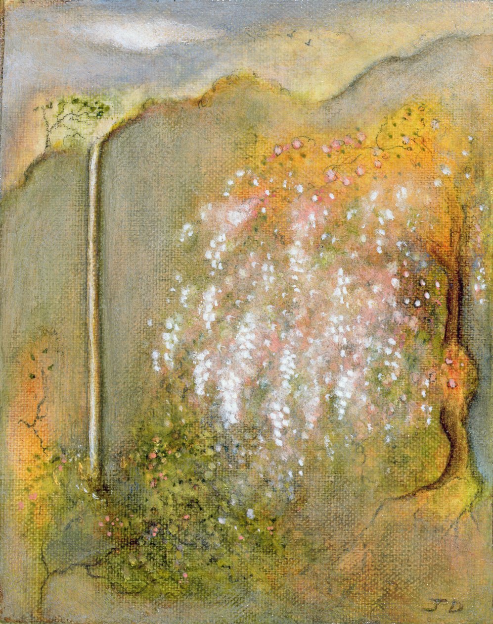White Wisteria, 2001 od Jane Deakin