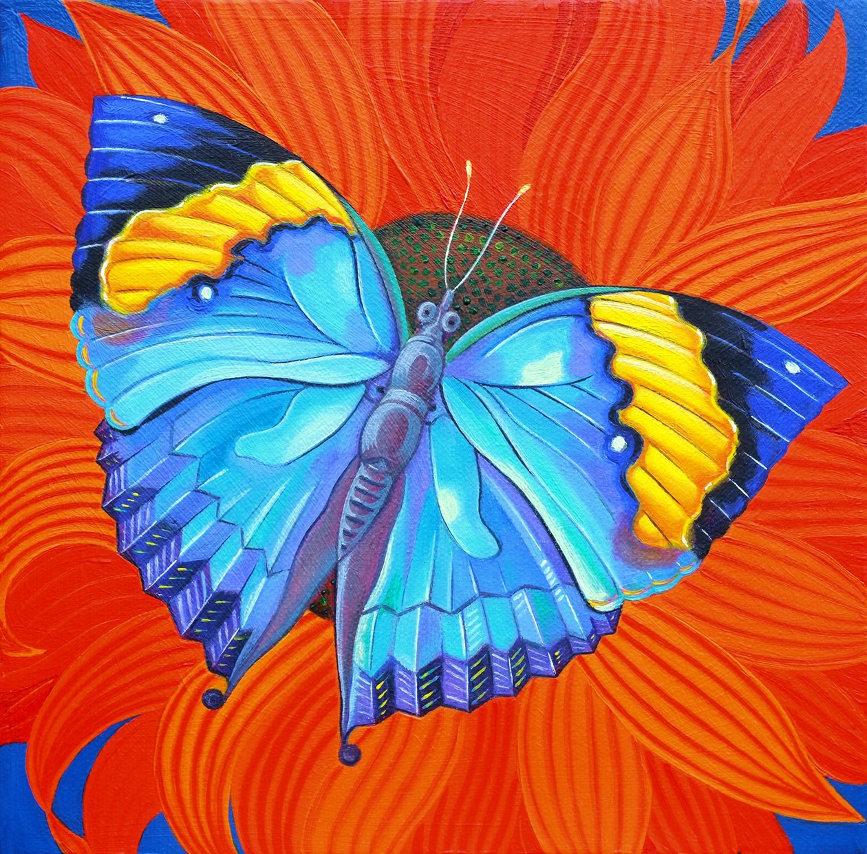 Indický listový motýl, 2014, od Jane Tattersfield