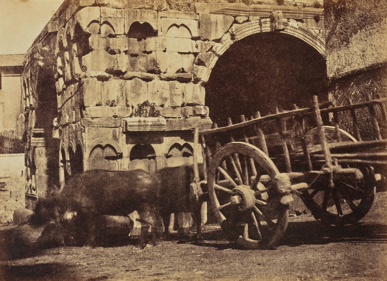Buffalo Cart, Řím od Jane Martha St. John