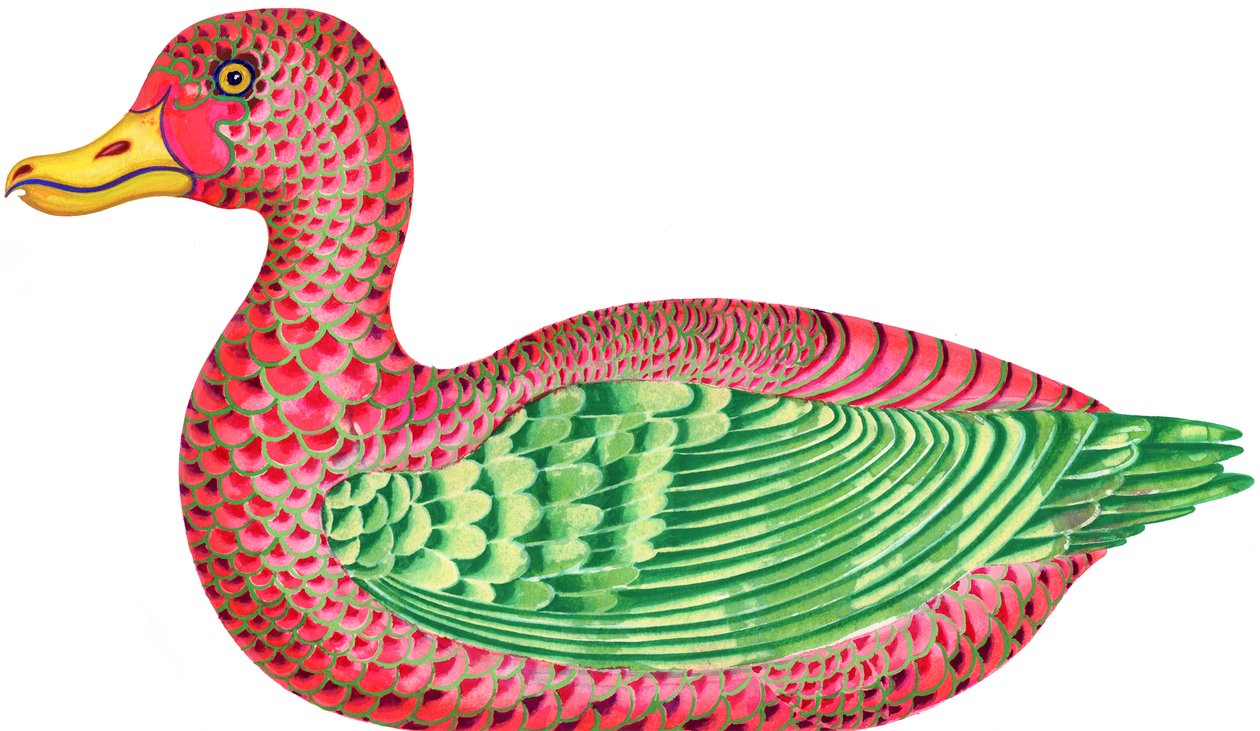 Duck, 1996, (inkoust a kvaš) od Jane Tattersfield