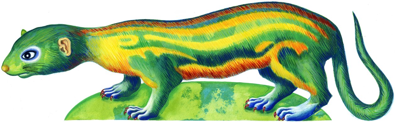 Fretka, 1996, (tuš a kvaš) od Jane Tattersfield