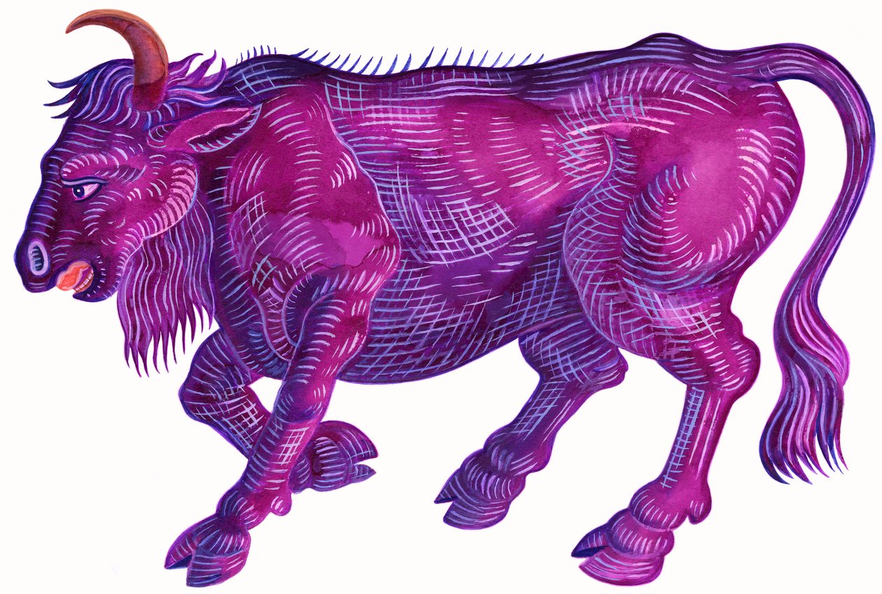 Zuřící býk Taurus, 1996, (tuš a kvaš) od Jane Tattersfield