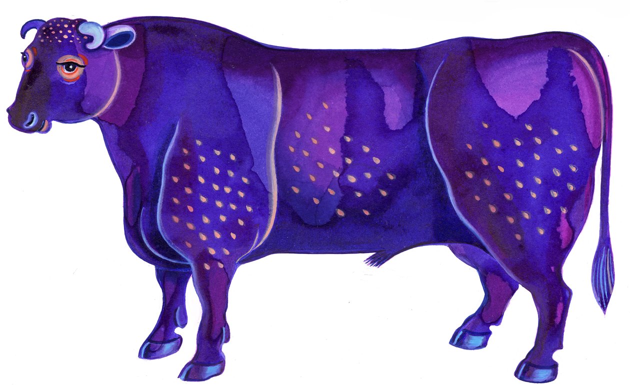 Býk Taurus, 1996, (tuš a kvaš) od Jane Tattersfield