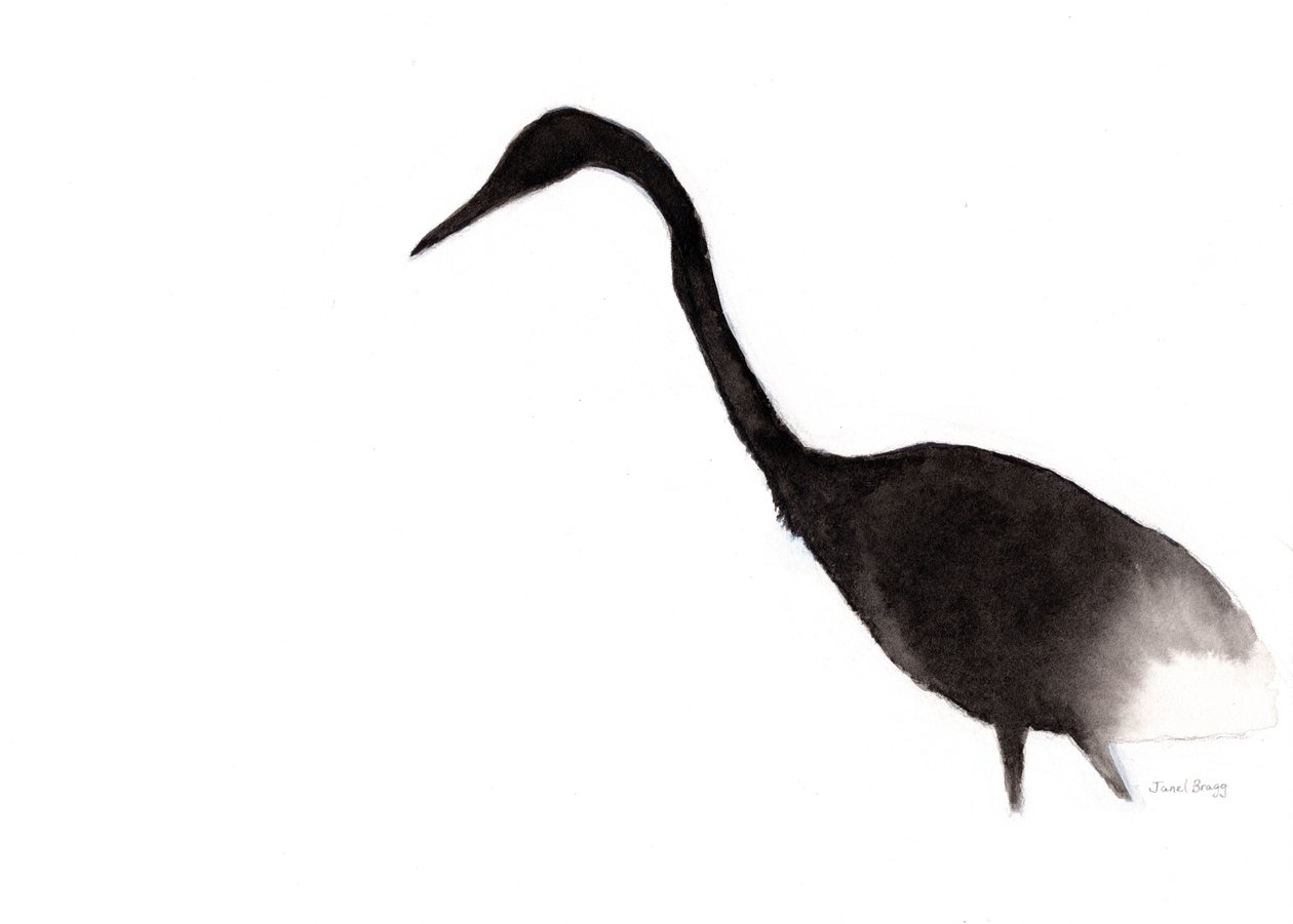 Volavka tuší, cca 2020 (tuš na papíře) od Janel Bragg