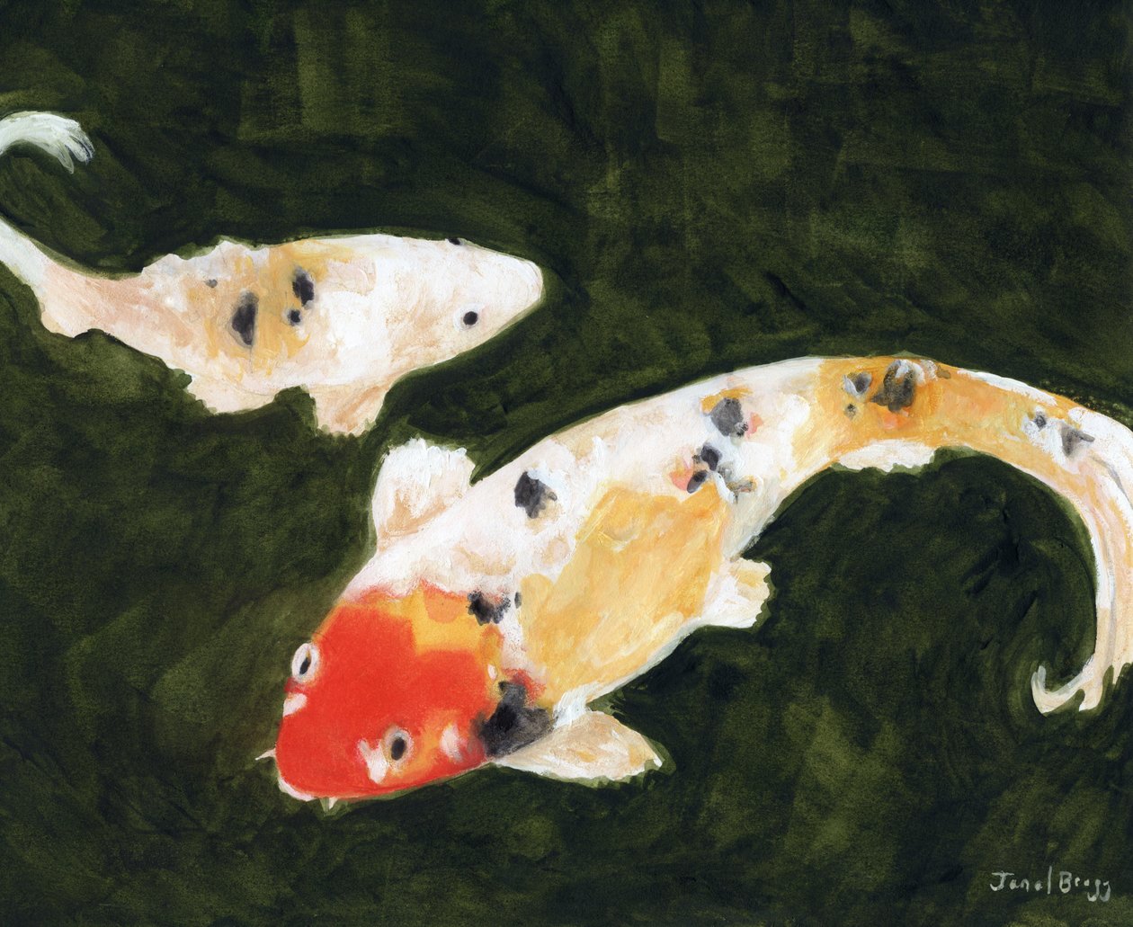 Koi Fish at the Conservatory of Flowers in San Francisco, cca 2024 (akvarel a kasein na papíře) od Janel Bragg