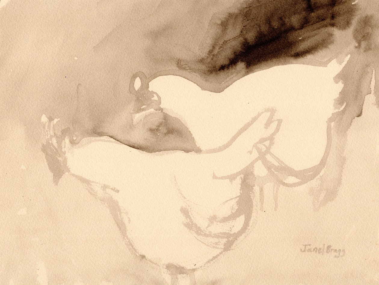 Schuh Farm Chickens, cca 2019 (tuš na papíře) od Janel Bragg