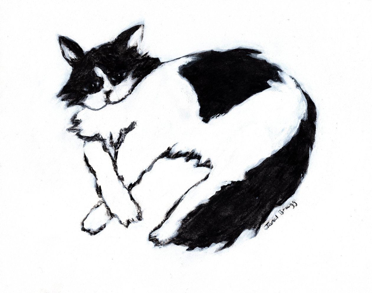 Thomas Lounging II, cca 2019 (kombinovaná technika na papíře) od Janel Bragg