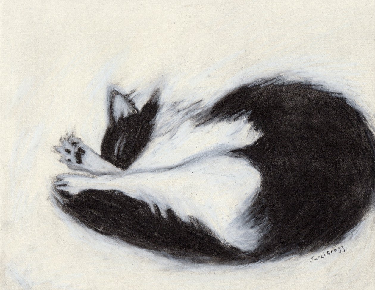 Thomas Taking a Naping, cca 2018 (uhel a pastel na papíře) od Janel Bragg