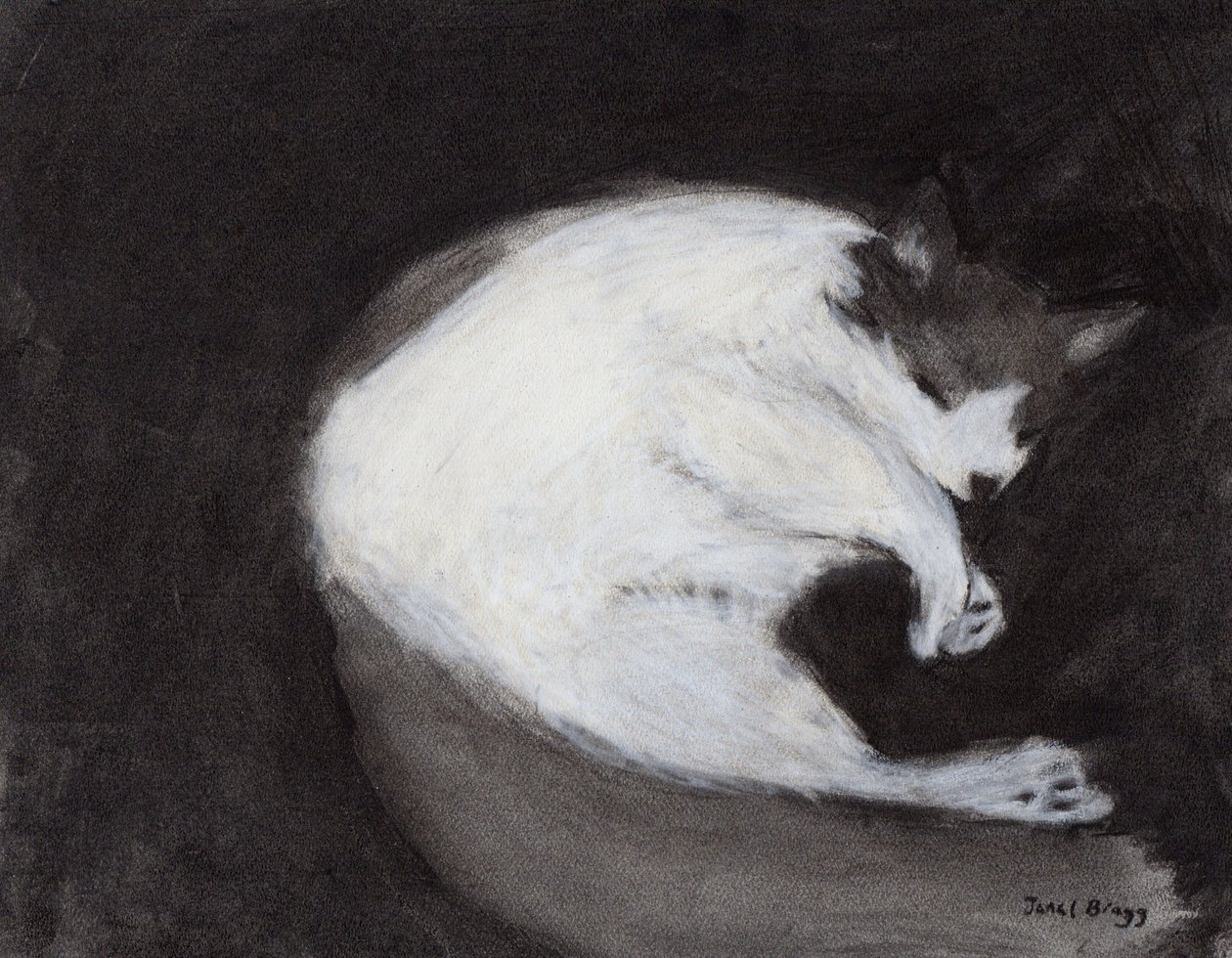 Thomas Taking a Naping, c. 2018 (uhel a pastel na papíře) od Janel Bragg