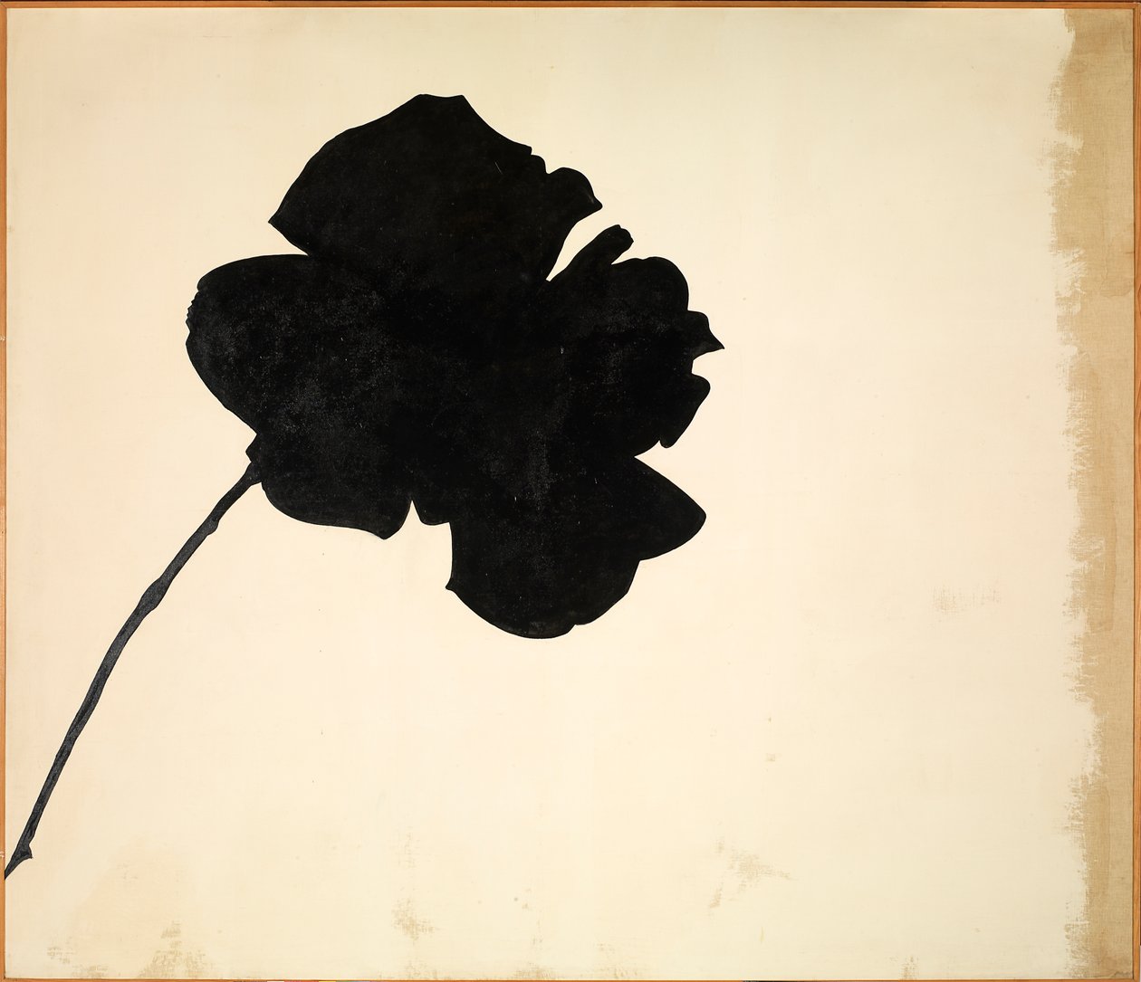 Bez názvu - Černá růže (Senza titolo - Rosa nera), Jannis Kounellis od Jannis Kounellis